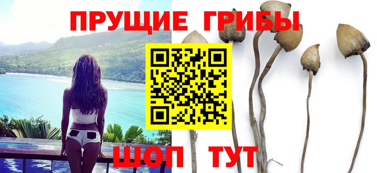 Галлюциногенные грибы MAGIC MUSHROOMS  Вход с VPN  Новый Уренгой  как найти закладки  Галлюциногенные грибы прущие грибы 